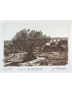 Olivier au Pont du Gard